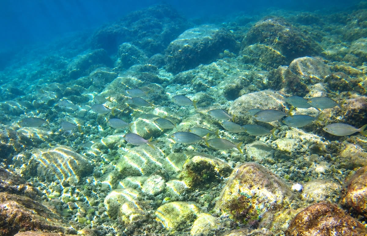 Inland Sea Tunnel at Dwejra, Gozo, viewed from the sheltered Inland Sea
