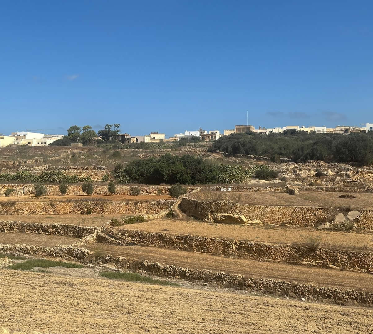 Rubble walls and terraced fields