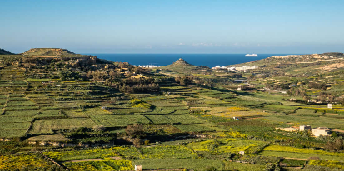 Rural landscape of Gozo with fields and traditional agricultural terraces