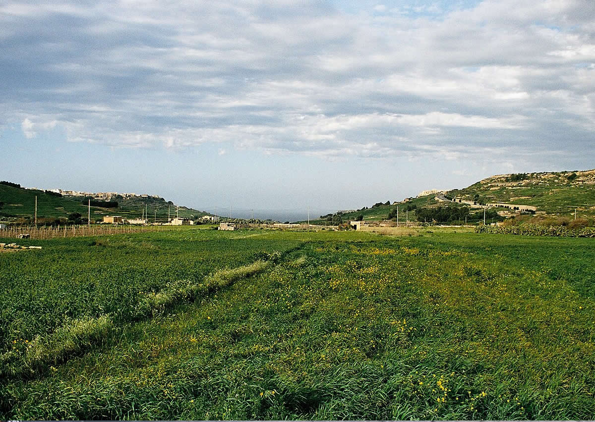 Rural Gozo