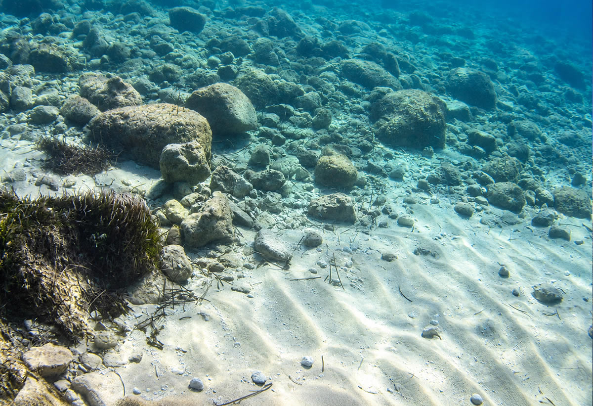 Gebla tal-Halfa underwater photograph 2