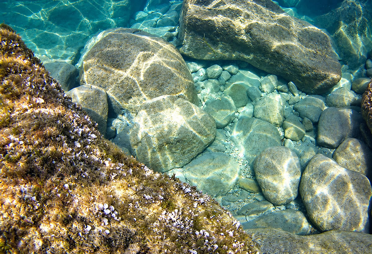 Gebla tal-Halfa underwater photograph 3